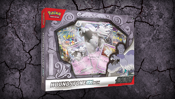 Houndstone EX Collection Box